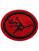 Arboriculture honor patch