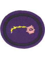 Brain and Behavior honor patch