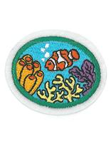 Coral Reef honor patch