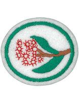 Eucalypts honor patch