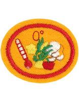 Food Freezing honor patch