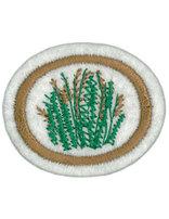 Grasses honor patch