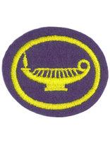 Home Nursing honor patch