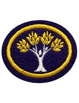 Legacy of Healing honor patch