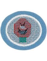 Plastic Canvas honor patch