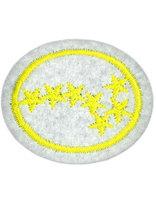 Stars honor patch