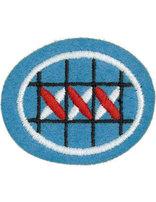 Counted Cross Stitch honor patch
