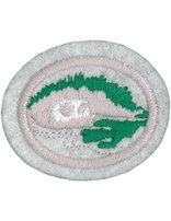 Lichens, Liverworts, and Mosses honor patch