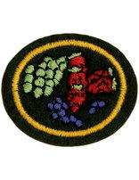 Small Fruit Growing honor patch