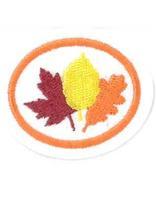 Temperate Deciduous Forests honor patch